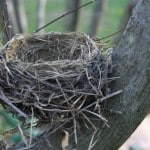 073db487f4c4c2354d17ccad8d24eb24