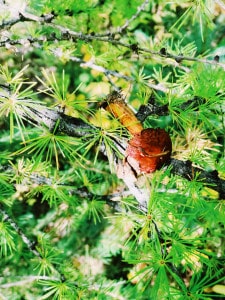 Processed with VSCO with au5 preset