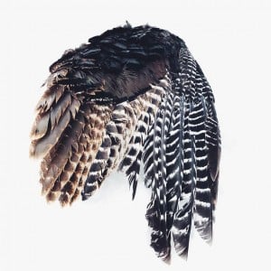 17212146_10154113844731266_1738394229619340222_o