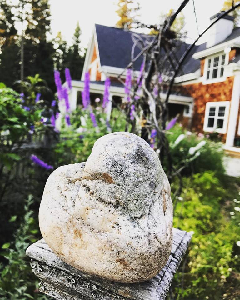 20046636_10154473661466266_8353012978486962236_n