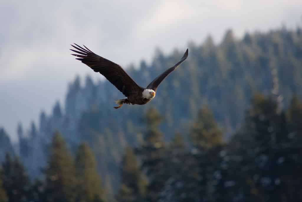 6341760037_390a9ee7c5_b