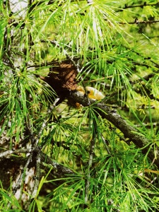 Processed with VSCO with au1 preset