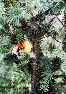 Processed with VSCO with fv5 preset