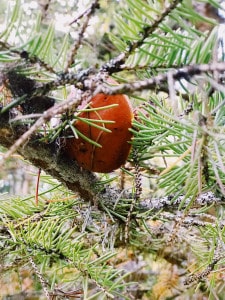 Processed with VSCO with au5 preset