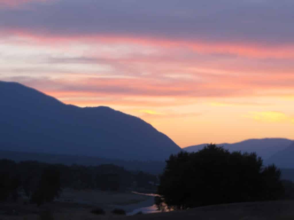 IMG_0793
