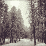 Screen Shot 2015-01-09 at 8.57.04 PM