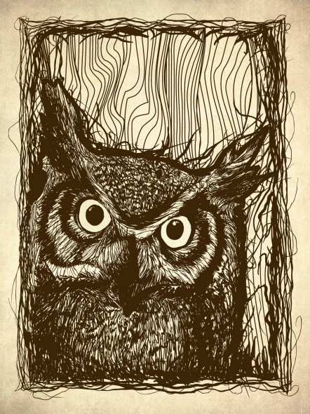 owlillustration-442x590