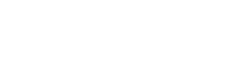 New York Times Best Selling Author Logo